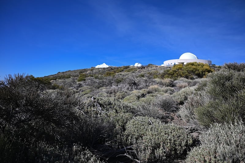 Astronomical Gardens